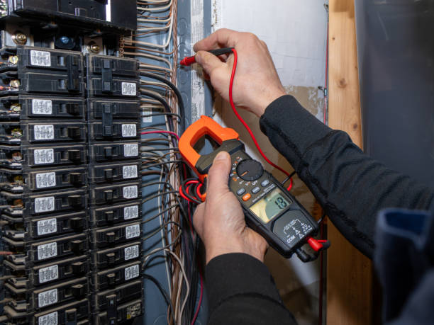 Best Electric Panel Repair  in Deale, MD